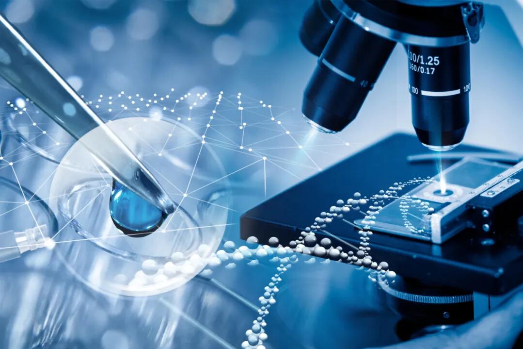 1730690797870694.jpg 2.jpg