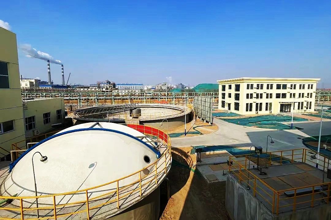 1743128757902631.jpg 3.jpg