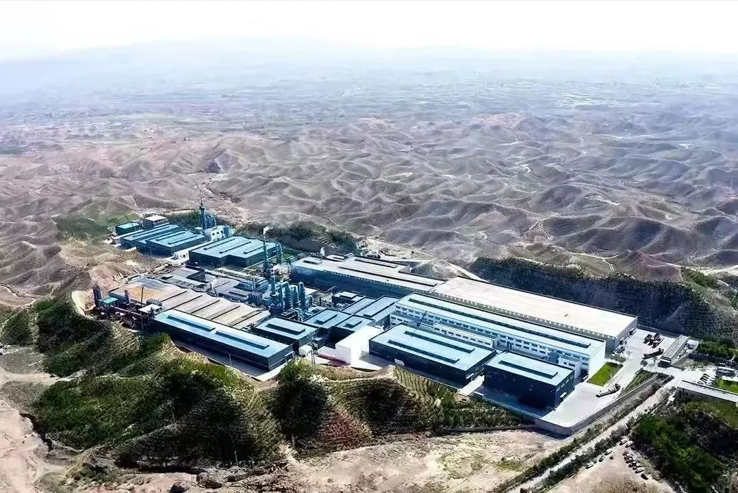 1743140430634564.jpg 2.jpg