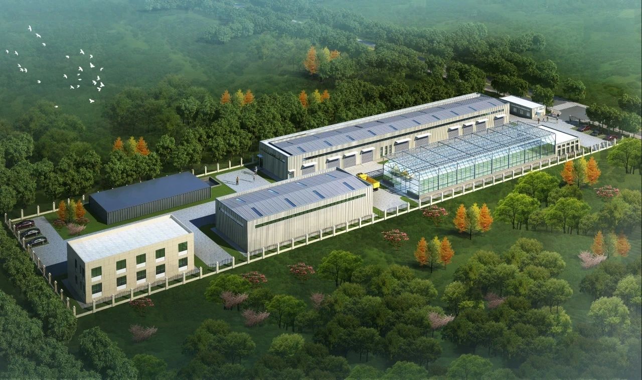 1743141136695224.jpg 1.jpg