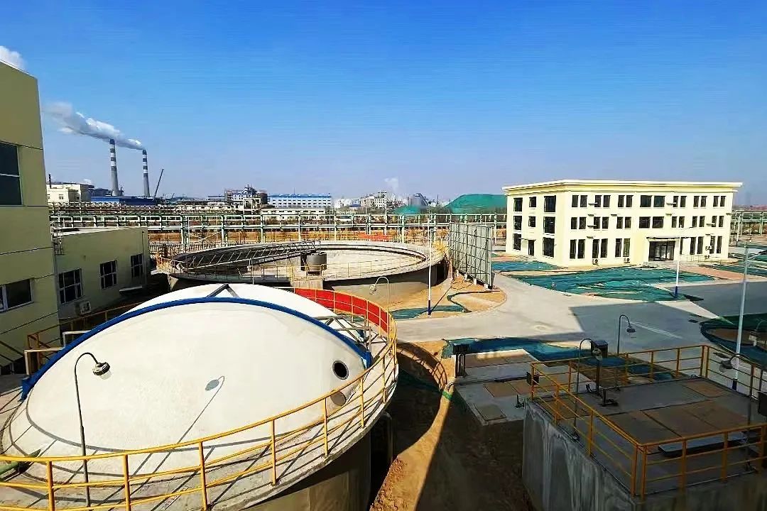 1748410945827011.jpg 2.jpg