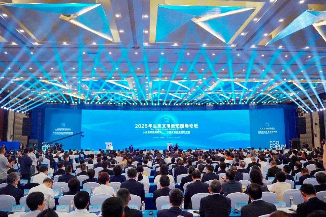 1753862768844684.jpg 1.jpg