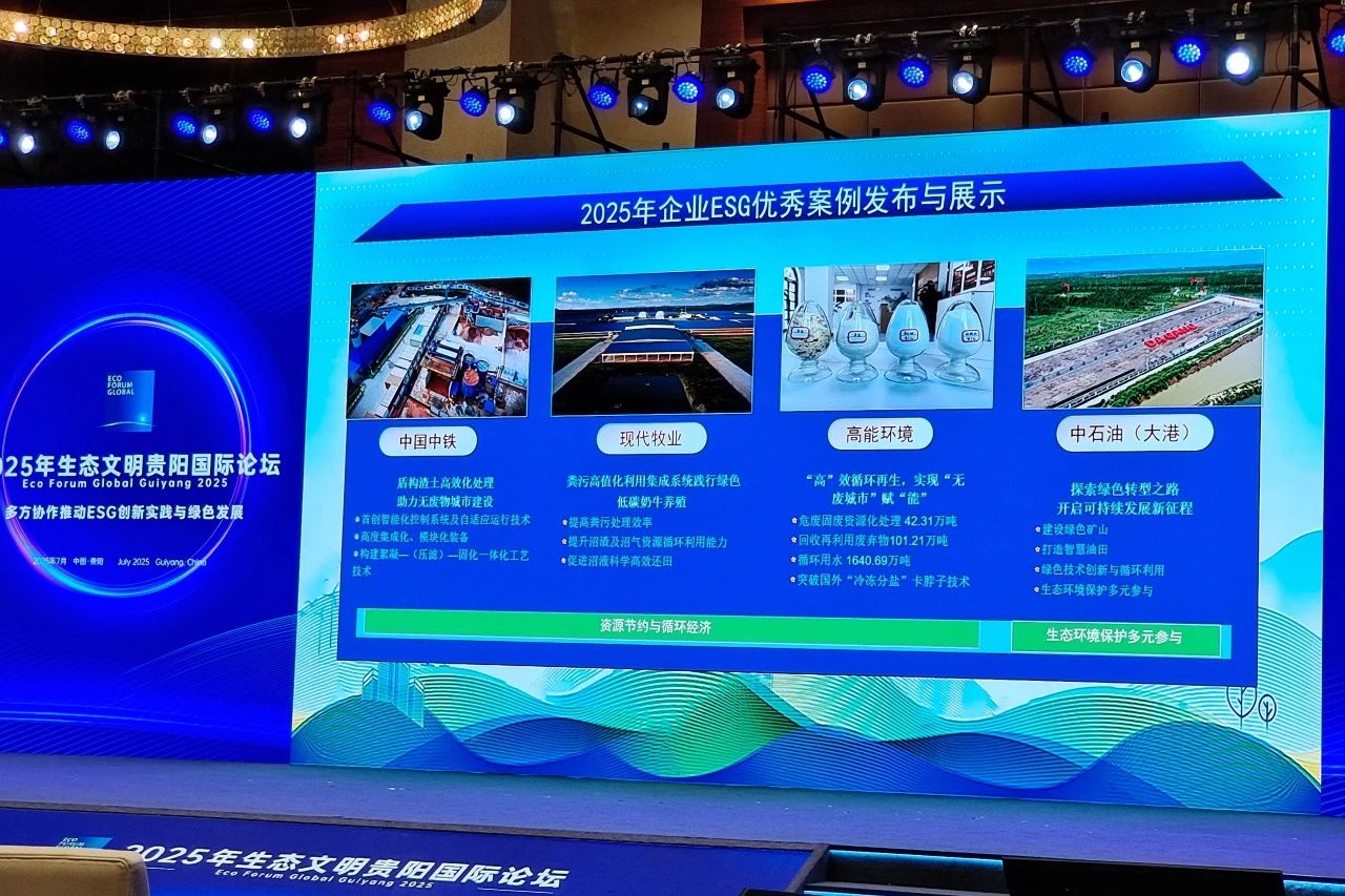 1753862858398314.jpg 3.jpg