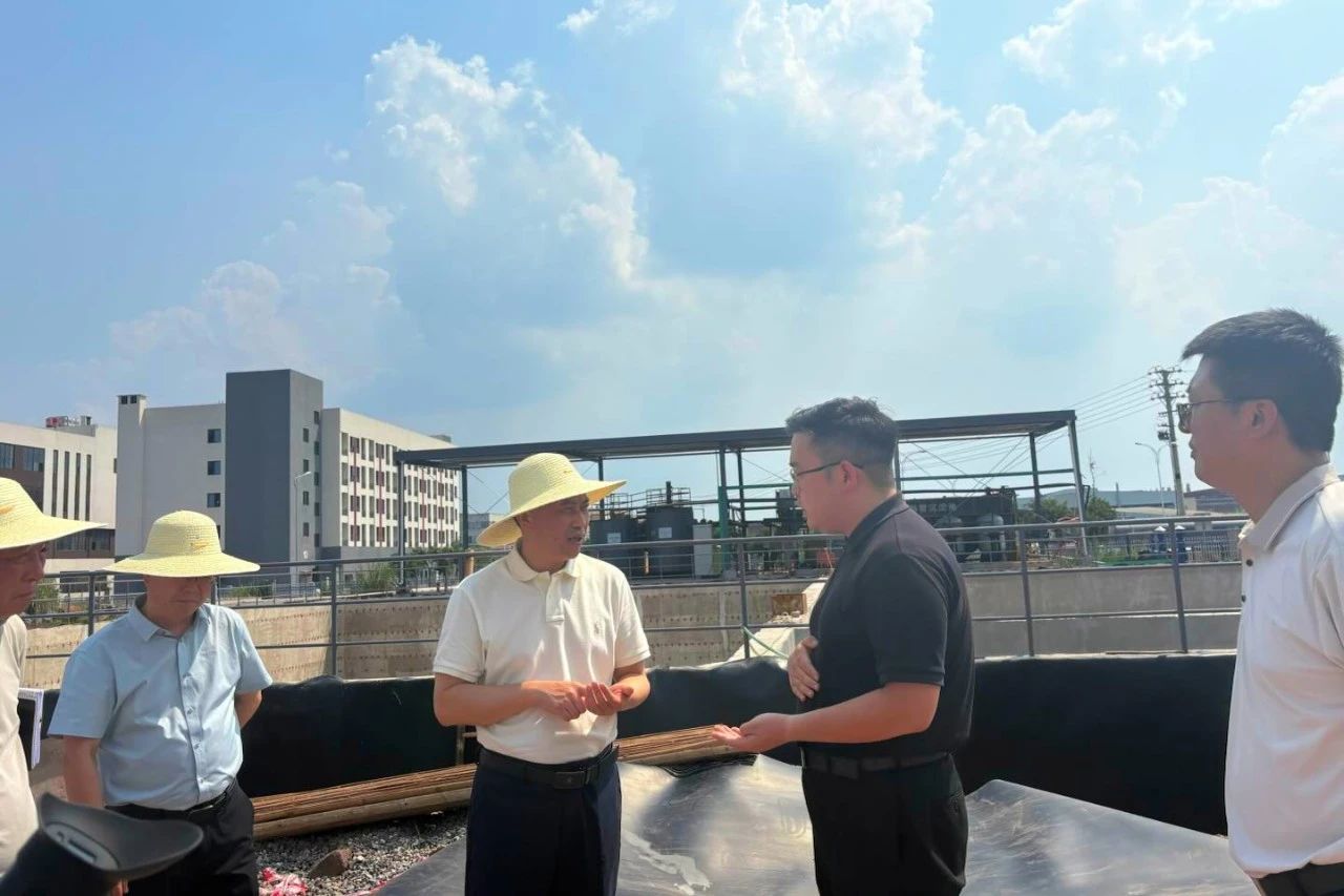 1753863828966057.jpg 2.jpg